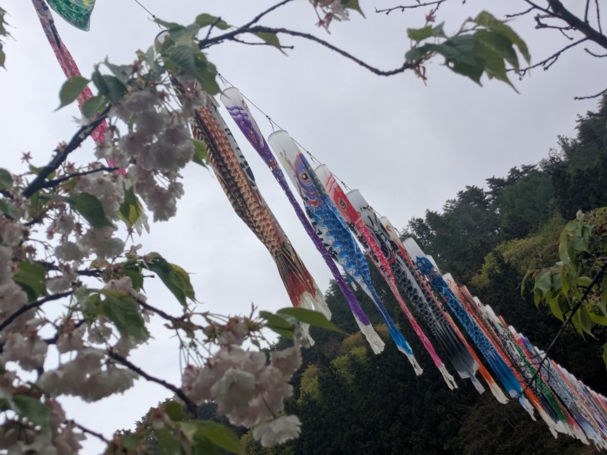 ゴールデンウィークイベント第３弾🎏