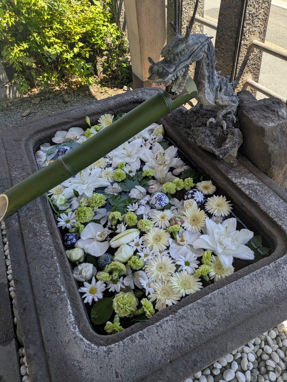 若宮八幡宮例大祭に行ってきました⛩️