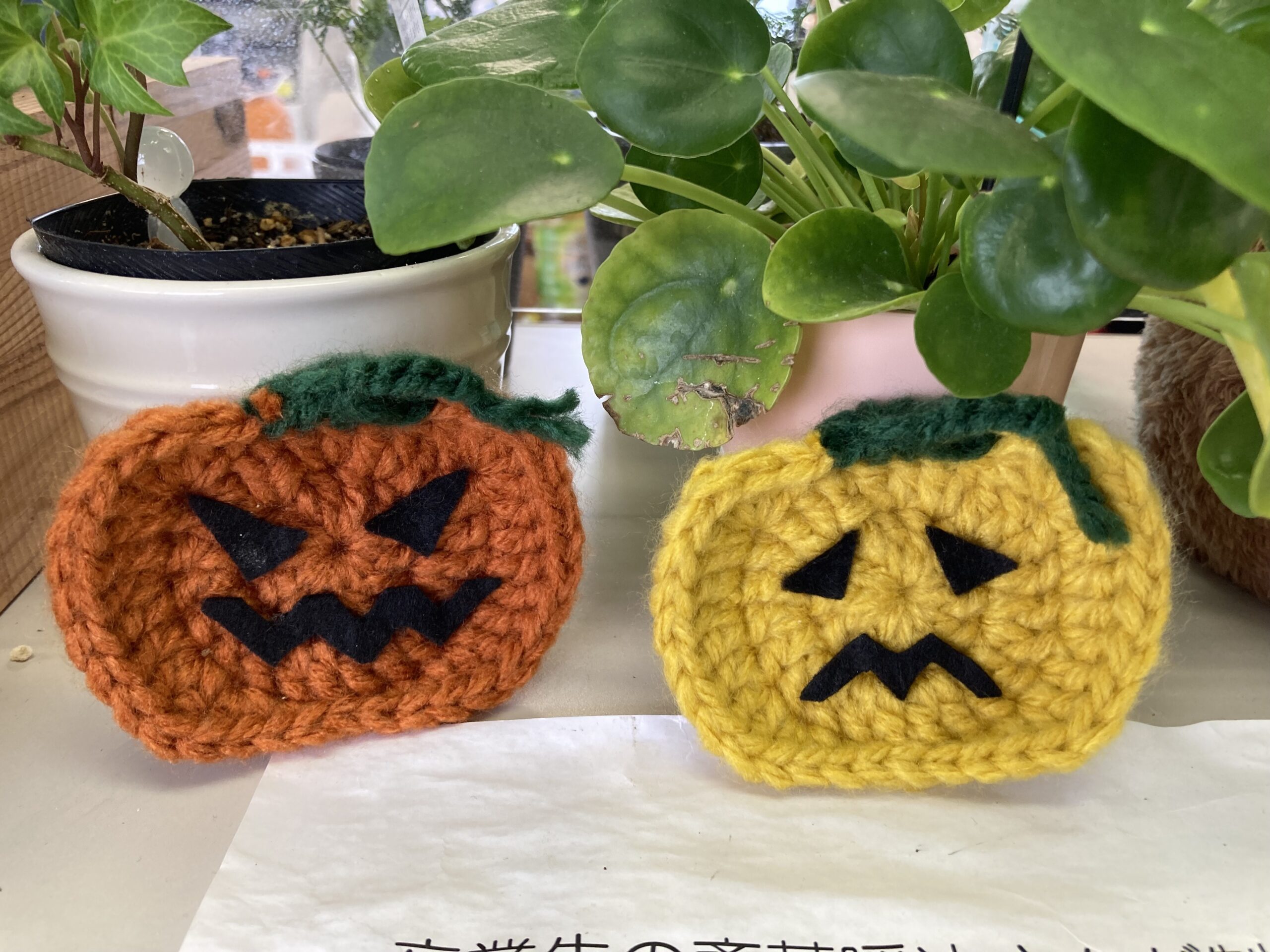 【イベント】コリード甲府のハロウィン🎃トリック・オア・トリート♪