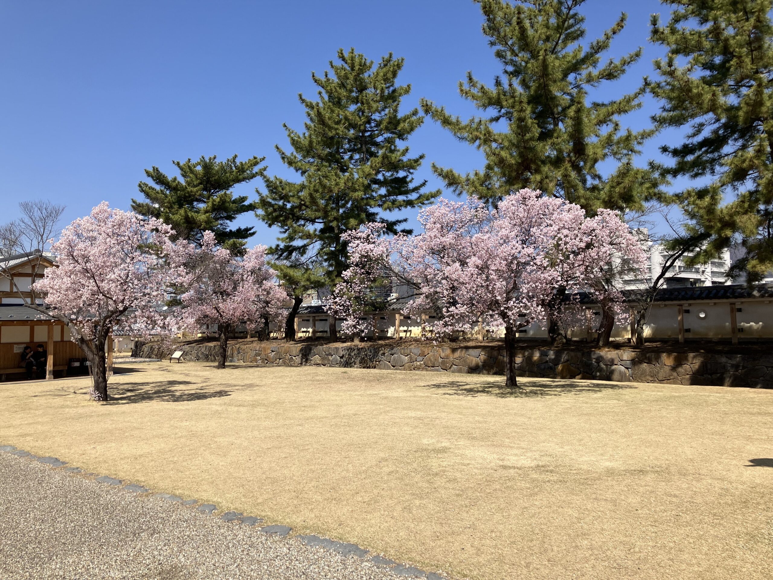 【土曜イベント】舞鶴城公園と花小路♪