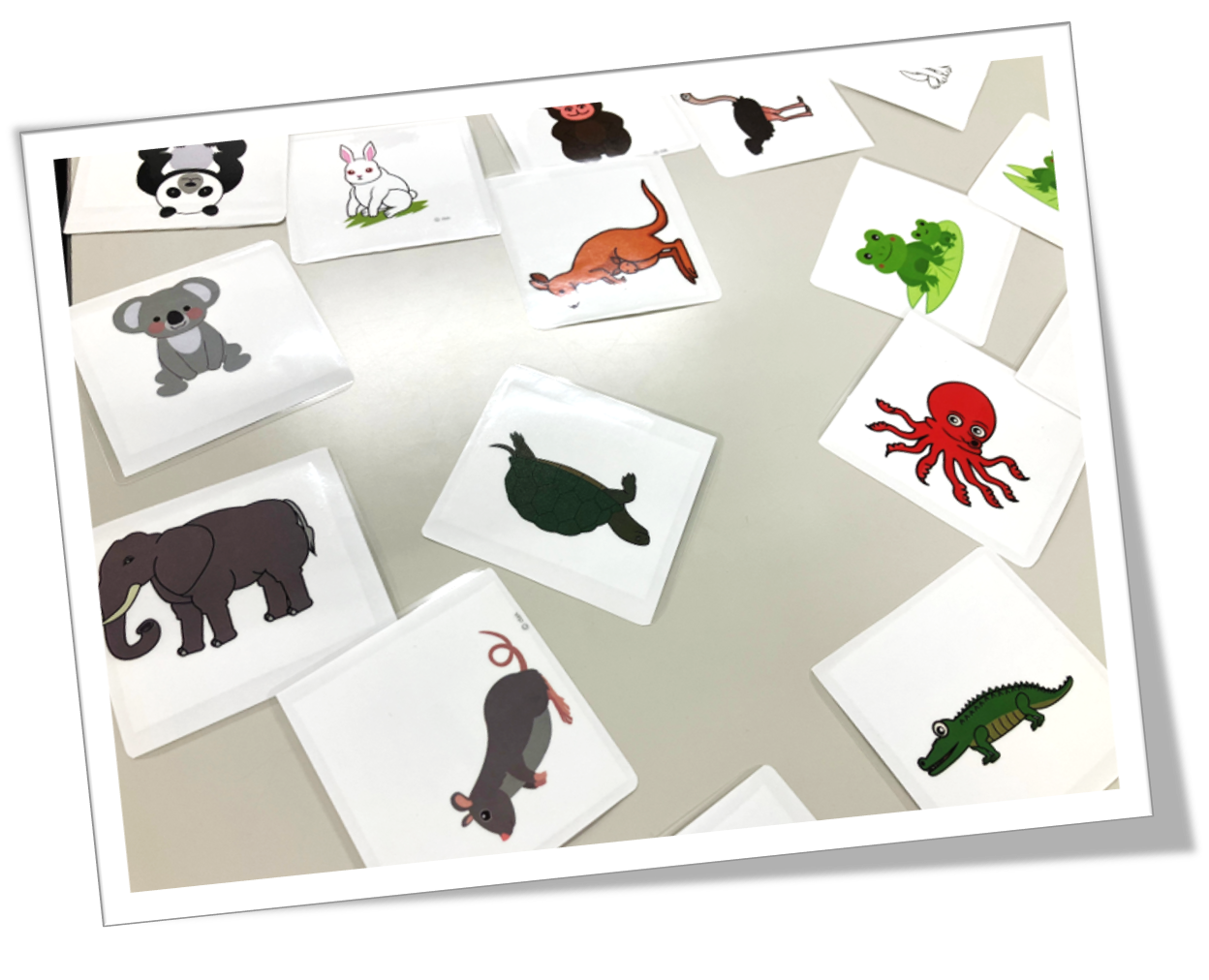 動物カードで頭の体操！みんなで共通点を探そう！